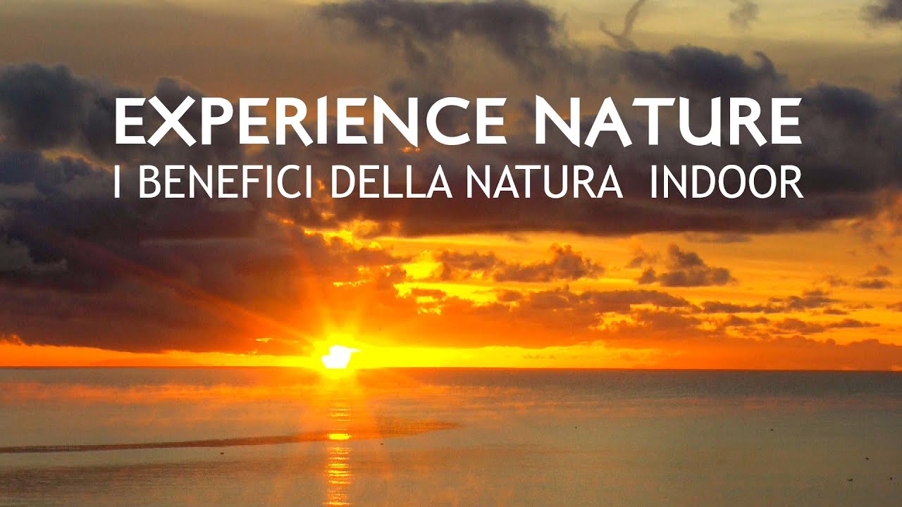 EXPERIENCE NATURE - TRAILER E.N.CARE 