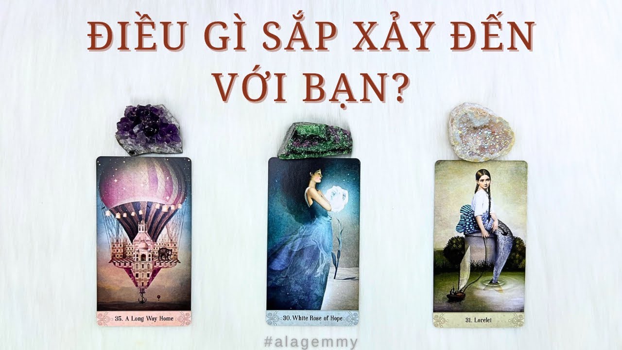 ĐIỀU GÌ SẮP XẢY ĐẾN VỚI BẠN ?☯️🕉️🍒🫐🌿Tarot🪽🐦‍🔥🕊️🦚