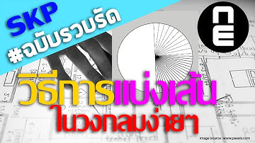 แบ่งเส้นให้เท่ากันในวงกลม หมุนรอบวงกลง #sketchup  #3d