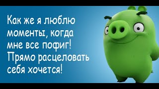 Как же пофиг :)