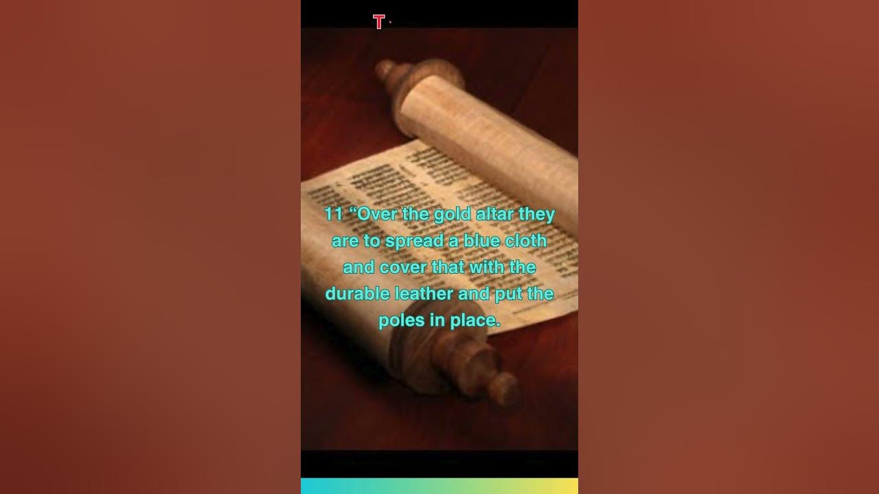 Numbers 4 10 11 cjb niv the kohathites youtube