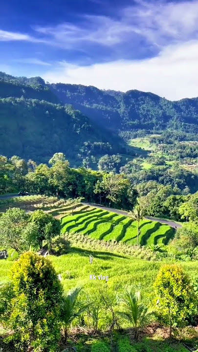 lagu Sunda dan pemandangan alamnya #lagupopsunda #keindahanalam #suasanapedesaan