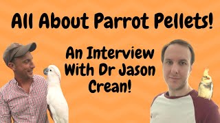 Parrot Diet : All About Pellets With Dr Jason Crean | TheParrotTeacher