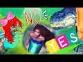 La nuova sirenetta Disney ❌🧜🏾‍♀️✅ Mentre gli umani litigano noi dinosauri vi diciamo la nostra!