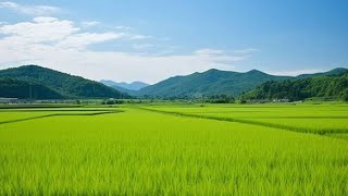 👉Full Video- Slow Living in Indonesia: Exploring the Scenic Outskirts of Java.