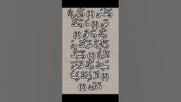 سورة الضحى بصوت القارئ الشيخ أحمد العجمي 📿🤍