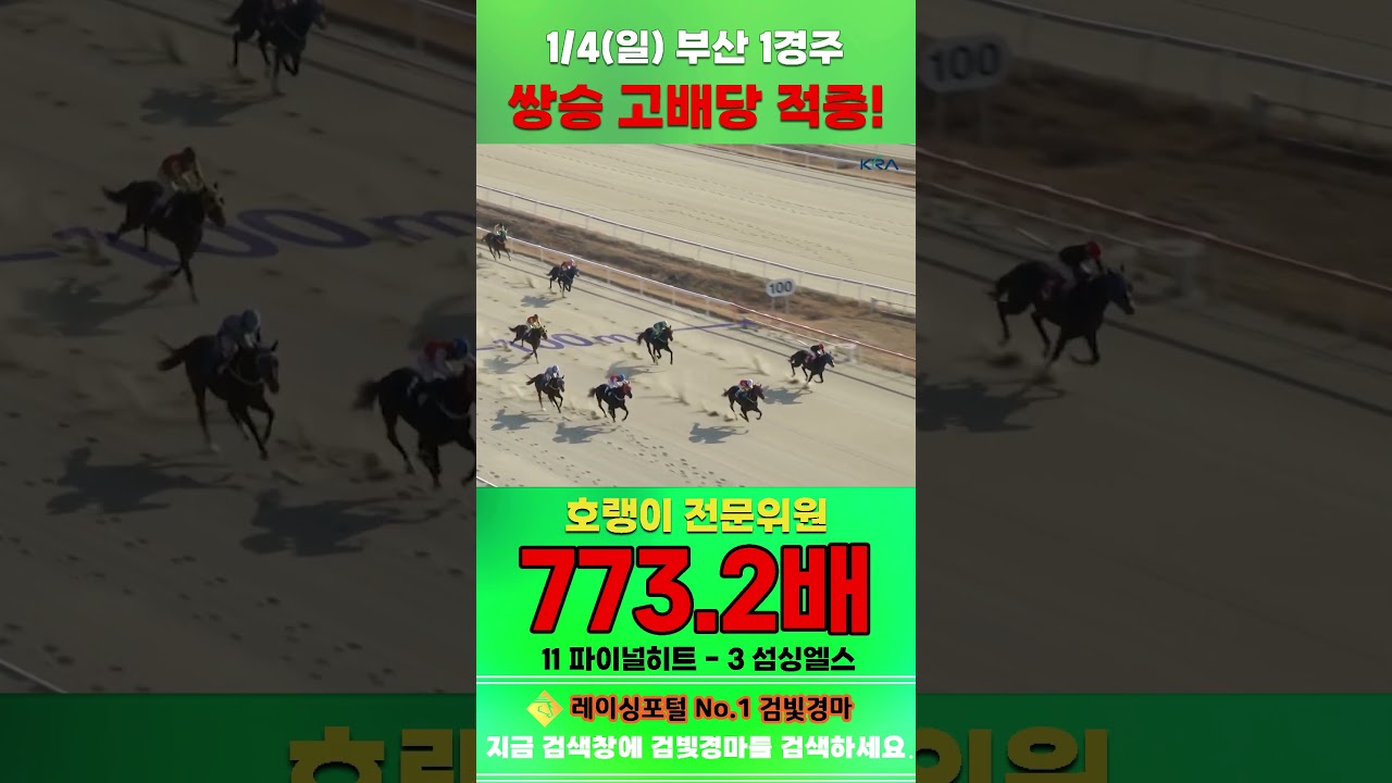 [부산 경마] 1월 4일 일요 1경주 호랭이 전문위원 쌍승 고배당 적중 #한국마사회 #horse #경마 #automobile #하이라이트 #비트코인