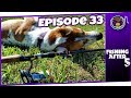 It&#39;s OVER! Creek Fishing with my dog! - Fishing After 5