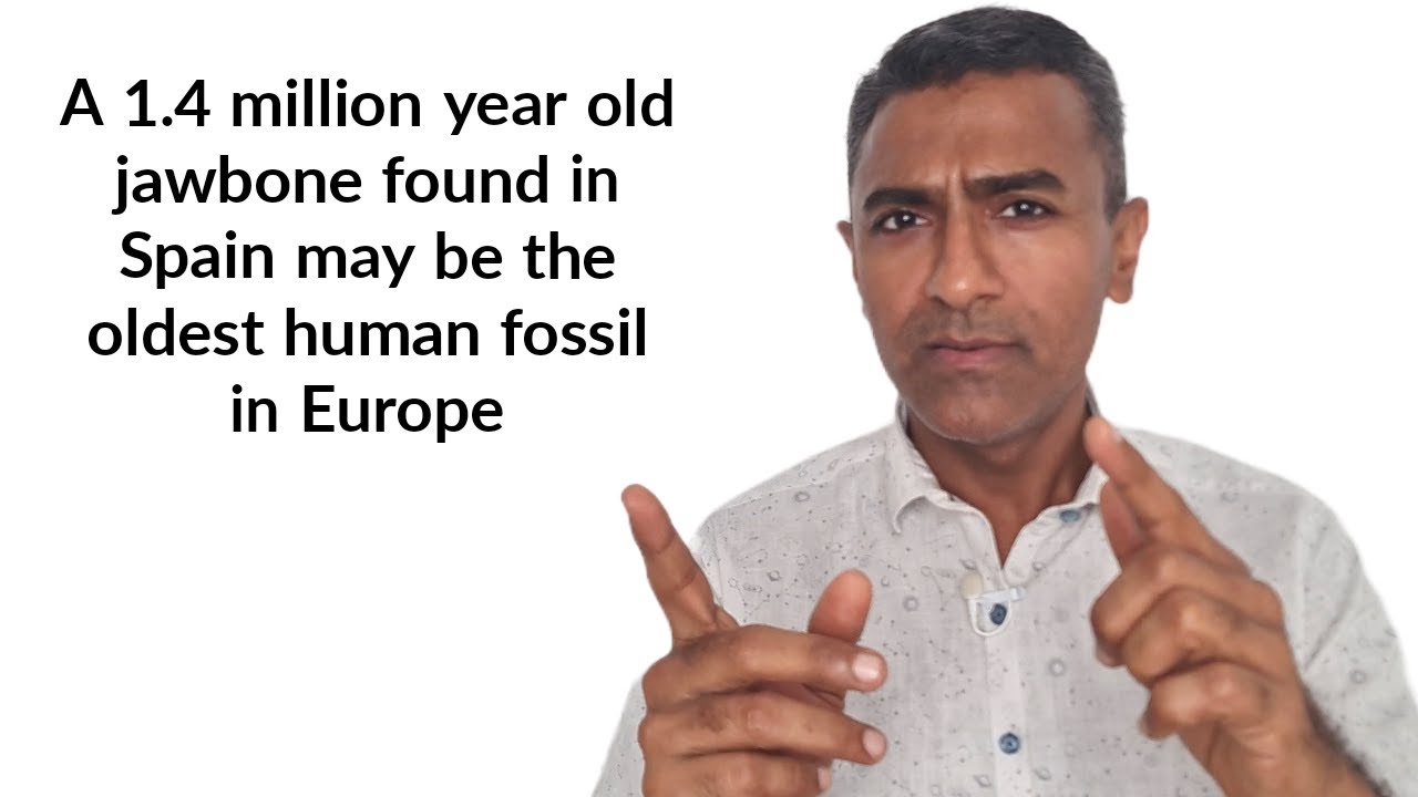 A 1.4 million year old jawbone found in Spain may be the oldest human ...
