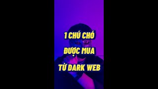 Một Chú Chó Được Mua Từ Dark Web | Mặt Nạ Huyền Bí screenshot 5