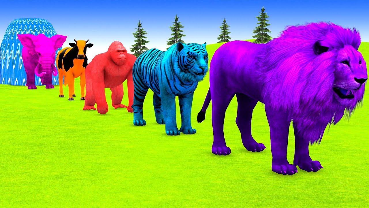 Long Slide Game With Elephant Gorilla Buffalo Hippopotamus Tiger - 3d Animal Game - Funny 3d Animals