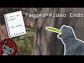 Gorilla Tag But If I Get Tagged The Video Ends