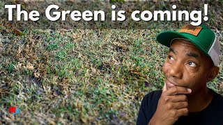 Lawn Wake Up Time!  Golf Course Lawn [Ron Henry  LIVE]