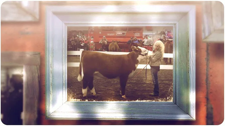 Nebraska Cattlemen's Classic 2014