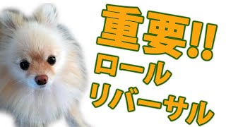 重要プライスアクション:ロールリバーサル