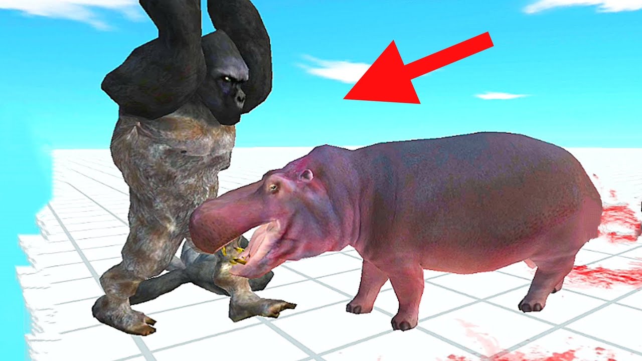 PRIMATES ATTACK ANIMALS - ARBS - YouTube