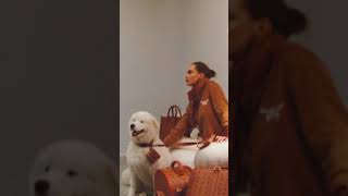 Cara Delevingne For Mcm Ss24 Campaign