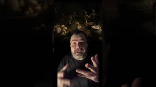 O COGUMELO PROIBIDO QUE FAZ PESSOAS VEREM DUENDES #casossobrenaturais #alucinações #shorts
