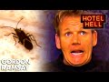 These Can't Be Real Hotels | Hotel Hell