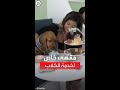 شاهد مقهى للكلاب فقط في دبي