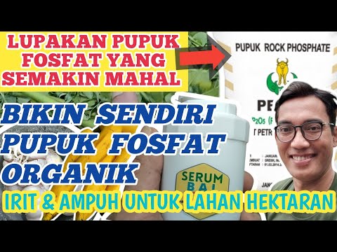 Video: Bagaimana cara membuat carbamoyl fosfat?