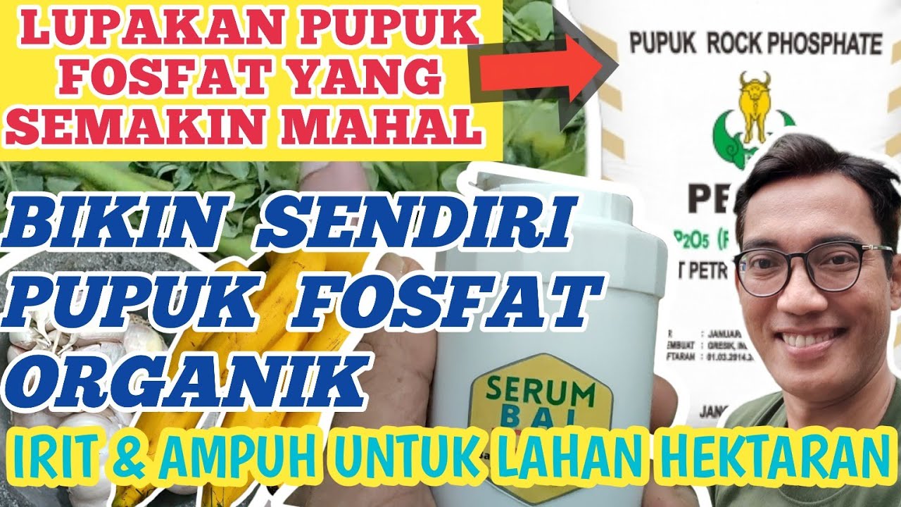 Cara Membuat Pupuk Fosfat Organik Yang Mudah dan Ampuh Untuk Lahan Ratusan Hektar