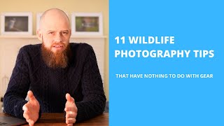 11 WILDLIFE PHOTOGRAPHY TIPS THAT HAVE NOTHING TO DO WITH GEAR (2020) by Michael Aagaard Wildlife Photography 1,209 views 4 years ago 7 minutes, 55 seconds