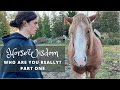 PART 1 | Horse Wisdom: Who Are You REALLY?