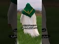 سيد فاقد الموسوي السنه برأس السنه الوادم حايرة