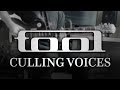 TOOL - Culling Voices (Guitar Cover with Play Along Tabs)