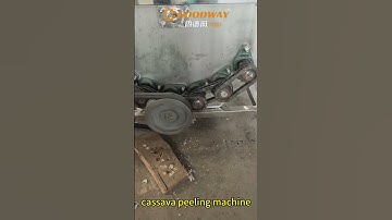 Cassava peeling machine cassava peeler cassava peeler machine