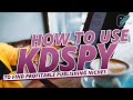 How to use kdspy to find profitable niches in online publishing  kdp publishing passive income