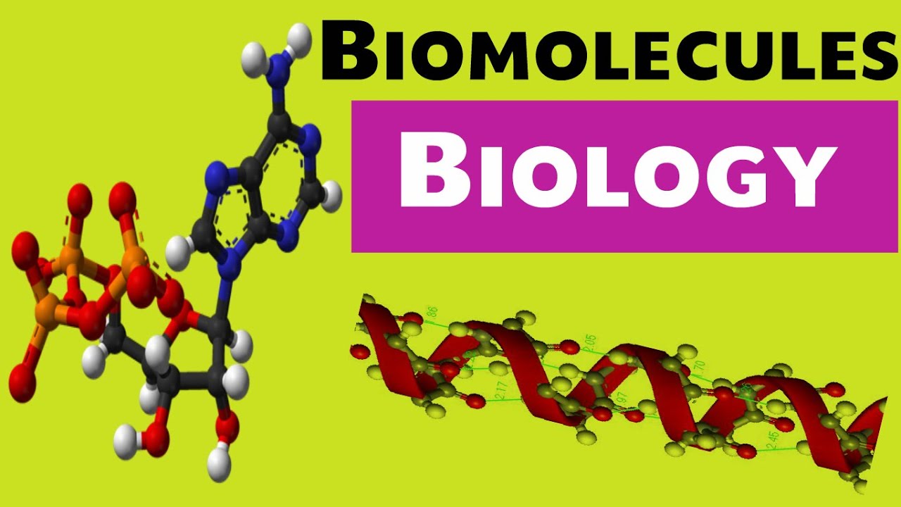 Biomolecules chapter 4 (SSC , NDA , UPSC , CDS , NDA , STATE PSC