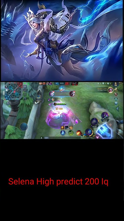High Predict selena STORY WA ML
