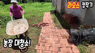 ep537 When I came back from Korea, the farm was a mess.