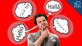 Bilingual Brains Are Better