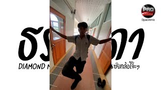 #มาแรงในTikTok ( ธรรมดา - DIAMOND MQT ) นกกระยางกางปีก V.แดนซ์ยกล้อโจ๊ะๆ Pao Remix