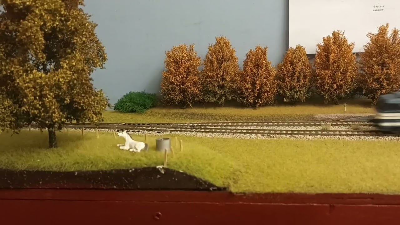 Morvan :.des voitures Saucisson 