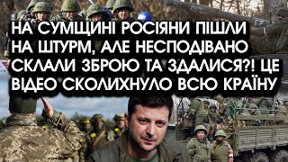 На Сумщині росіяни пішли НА ШТУРМ, та раптом склали зброю і ЗДАЛИСЯ?! Це відео сколихнуло всю країну