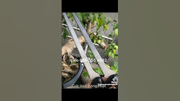 cưa lách hàng nhật