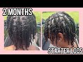 Starter Locs 2 Month Update