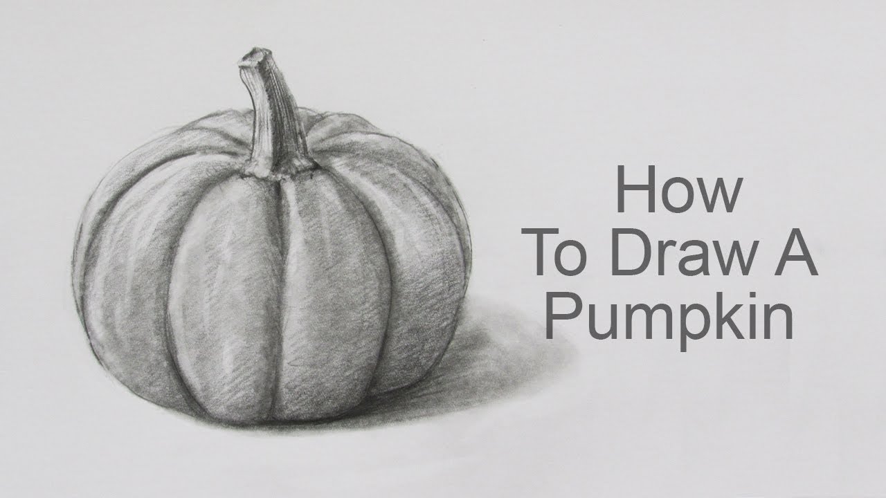 How To Draw A Pumpkin Step By Step: Pencil Sketch Pumpkin Drawing - YouTube