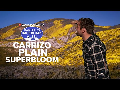 Explosion of color at Carrizo Plain National Monument | Bartell's Backroads