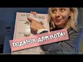 VLOG: Обычный День / Адвент Календарь / Надеемся на Лучевую терапию