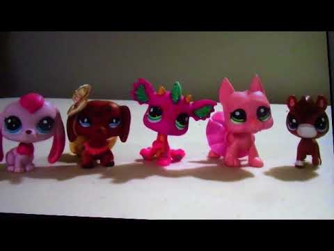 camera iphone 8 plus apk Daisy Lps: Legend you are meant to be mlp