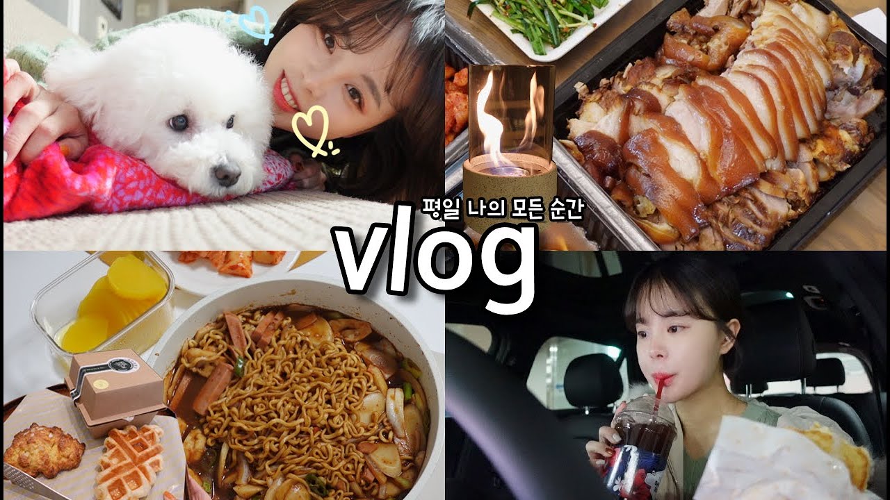 [일상vlog] 평일 내입으로 들어간 모든것들 _ 비빔밥+즉석 짜장떡볶이+한방족발+에그샌드위치+크로플+불멍+평일 간단식