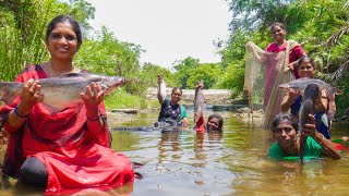 Amazing! Find and Catch Big fish | Unbelievable Fishing | Village Super Cooking