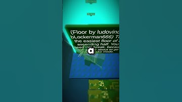 How This Roblox Player Set an UNBEATABLE World Record #tower #speedrun #obby #freerishta