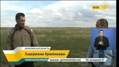 В Акмолинской области задержаны браконьеры