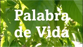 Palabra de Vida Junio 2024 @FocoB